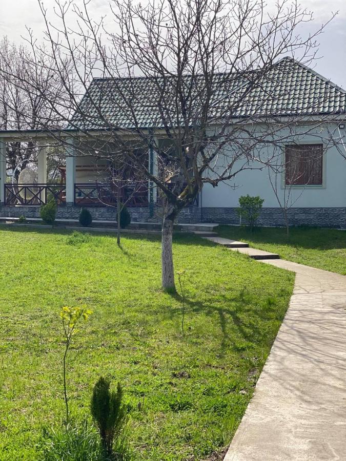 Villa Rokiti Екстериор снимка