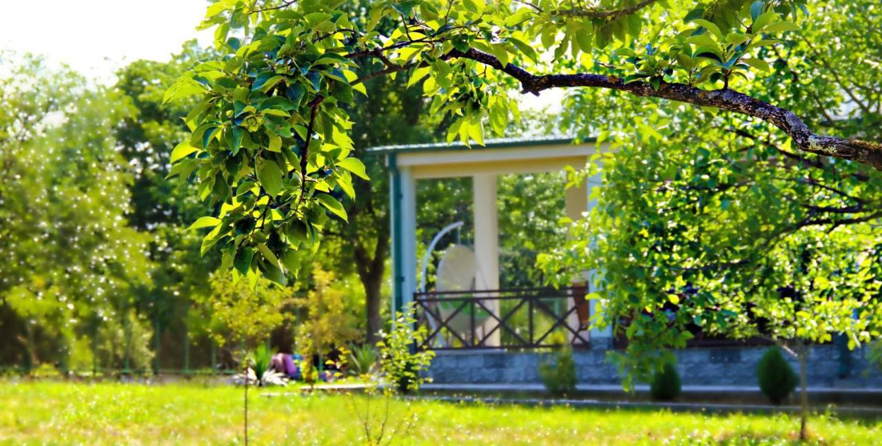 Villa Rokiti Екстериор снимка